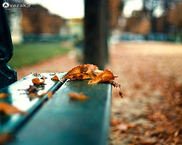 Avazak_ir-Love11150.jpg