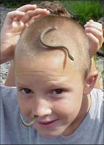 snake.jpg