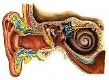 MenuPIC_203_2012730.jpg