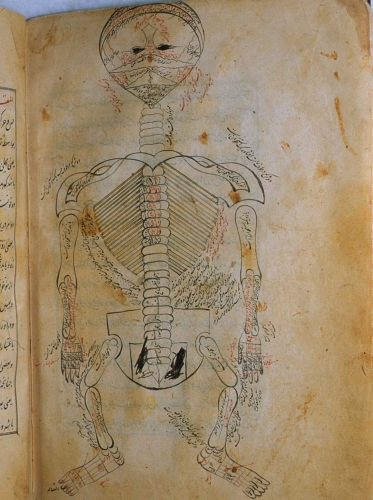 p1812b.jpg