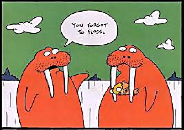 you forgot to floss....jpg