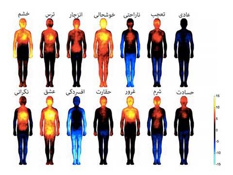 توسط دانشمندان فنلاندی «تصویر سازی مناطقی که توسط احساسات هدف گرفته می‌شوند» ....jpg