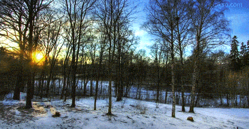 Gif_Persian-Star.org_15.gif