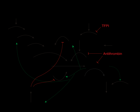 470px-Coagulation_full.svg.png