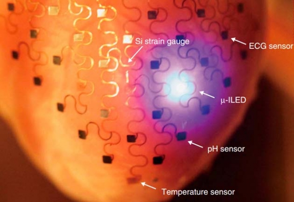 Heart-membrane-electronics-doorbin.info_.jpg