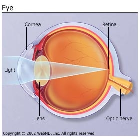 Multiple_Sclerosis_Vision_Problems.jpg