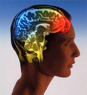 428452617e4181209de8c53d2c60146e.jpg