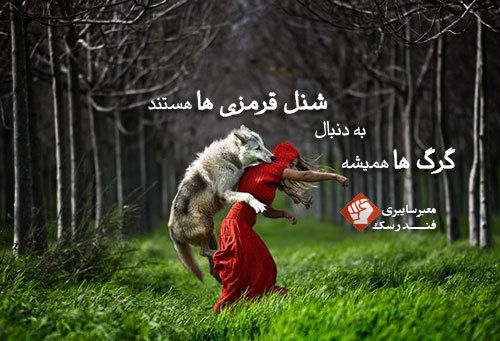 شنل-قرمزی.jpg