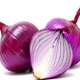 IMG11372011.jpg