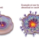 img_cancer_cells.jpg