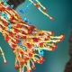 polystat-blood-clot.jpg