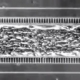 heart-on-a-chip.jpg